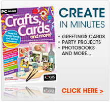 Craft Artist
