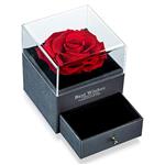 Free Eternal Real Rose with Jewellery Gift Box