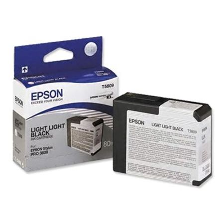 Epson Singlepack Light Light Black T580900 - Image 5